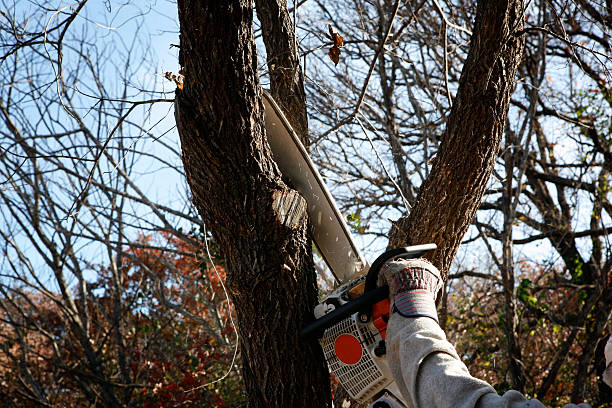 Mulching Services in Tariffville, CT